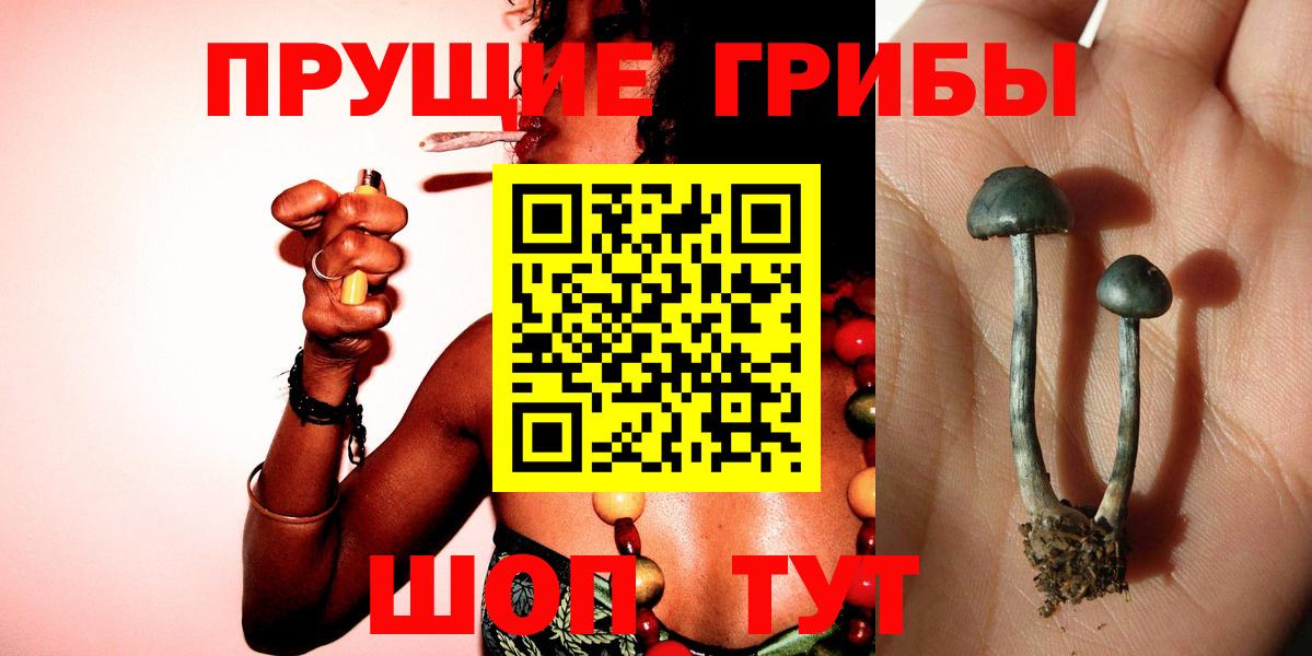 Избербаш  Псилоцибиновые грибы мухоморы  Вход с VPN  купить наркоту  Псилоцибиновые грибы Psilocybe 